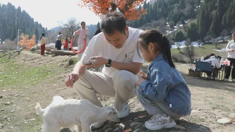  双假叠加释放文旅消费势能：库尔德宁景区清明春游季运营数据深度解析 文化旅游