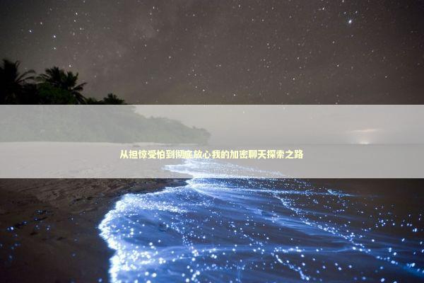 从担惊受怕到彻底放心我的加密聊天探索之路