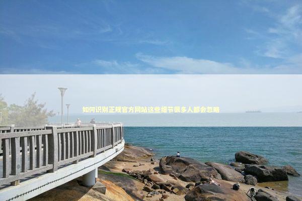 如何识别正规官方网站这些细节很多人都会忽略 IT技术