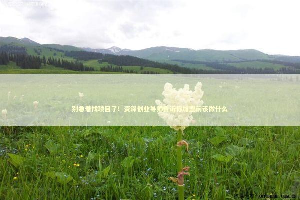 别急着找项目了！资深创业导师告诉你加盟前该做什么