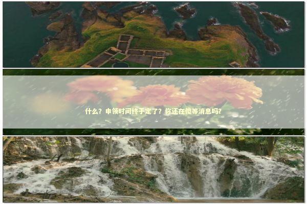 什么？申领时间终于定了？你还在傻等消息吗？ 新闻